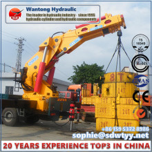 Custimized Hydraulic Cylinder for Lifting Crane